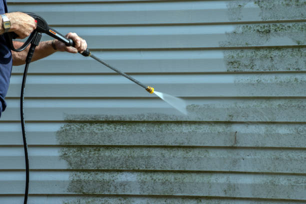 Best Fence Cleaning  in Melcher Dallas, IA