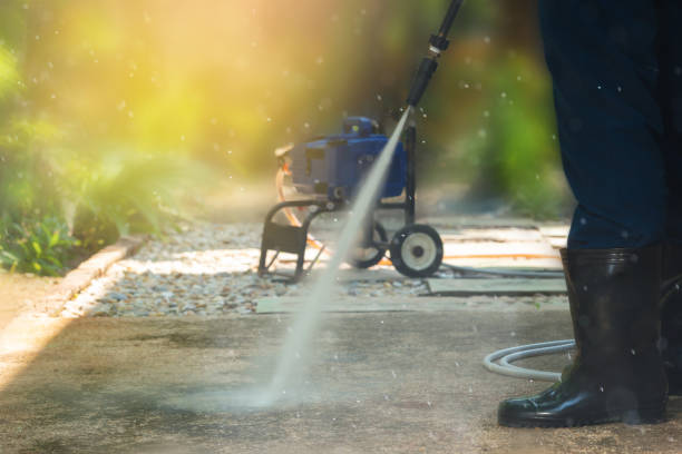 Best Driveway Pressure Washing  in Melcher Dallas, IA